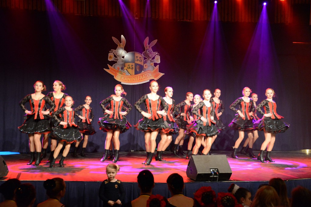 ../Images/Dansmarieke festival 2015 165.jpg